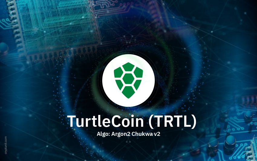turtlecoin solo mining)