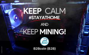 B2Bcoin