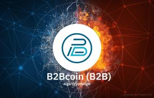 B2Bcoin