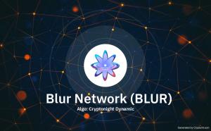 Blur Network