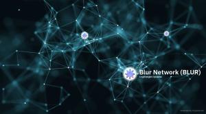 Blur Network