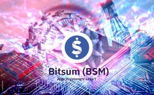 Bitsum