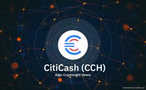 CitiCash