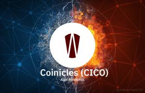 Coinicles