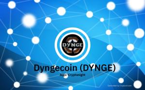 Dyngecoin