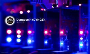 Dyngecoin