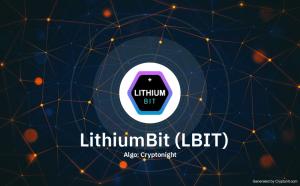 LithiumBit