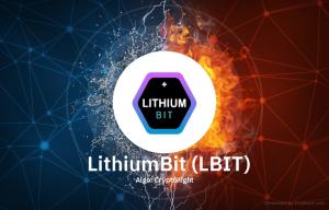 LithiumBit