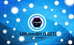 LithiumBit