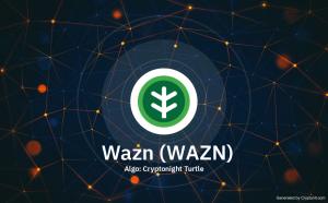 Wazn