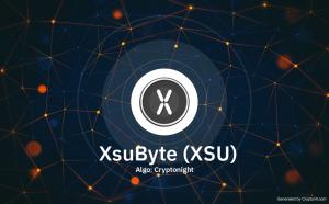 XsuByte