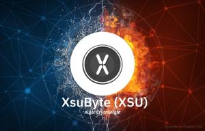 XsuByte