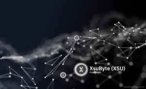 XsuByte