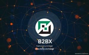 b2bx