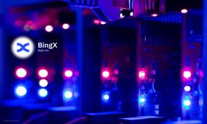 bingx
