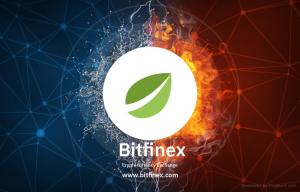 bitfinex