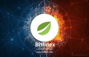 bitfinex