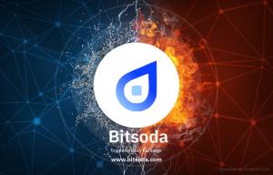 bitsoda