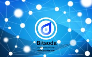 bitsoda