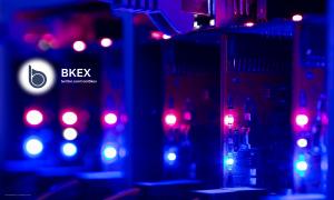 bkex