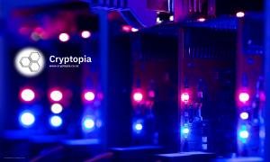 cryptopia