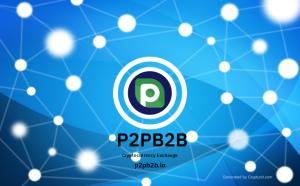 p2pb2b