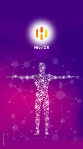 Hive OS