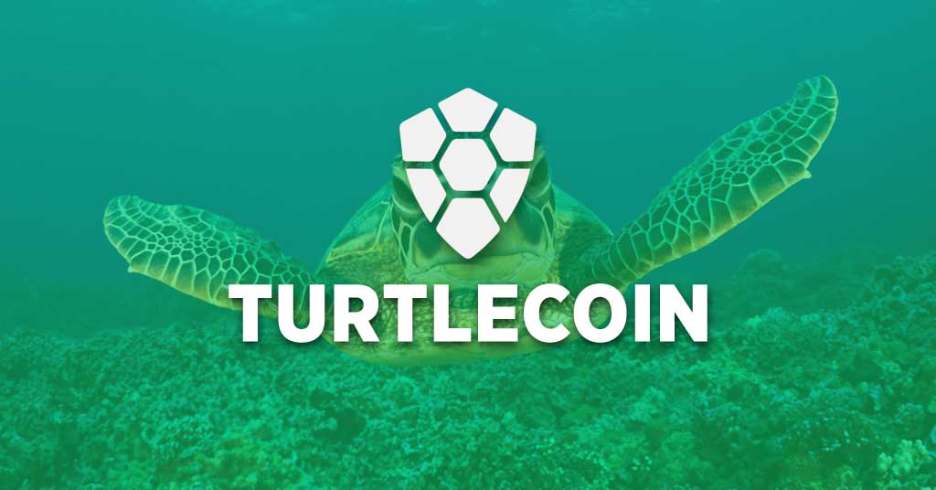 Turtle coin crypto jeff berwick ethereum