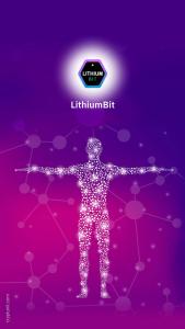LithiumBit