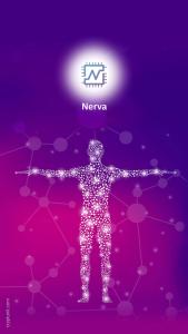 Nerva