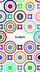 XsuByte