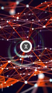 XsuByte